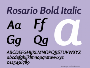 Rosario Bold Italic Version 1.001;PS 001.001;hotconv 1.0.70;makeotf.lib2.5.58329 Font Sample