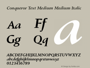 Conqueror Text Medium Medium Italic 1.3图片样张