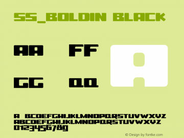 ss_boldin Black 001.001图片样张