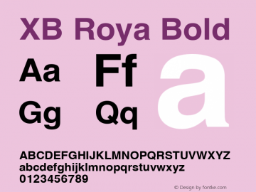 XB Roya Bold Version 6.001 2008图片样张