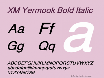 XM Yermook Bold Italic Version 7.004 2007 Font Sample