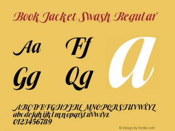 Book Jacket Swash Regular Version 1.000图片样张
