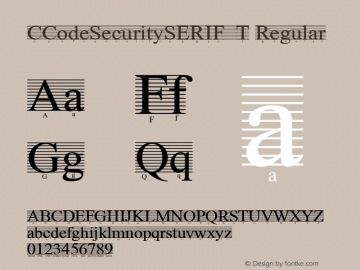 CCodeSecuritySERIF_T Regular Version 001.001图片样张