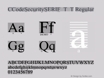 CCodeSecuritySERIF_T_T Regular Version 001.001图片样张