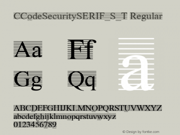 CCodeSecuritySERIF_S_T Regular Version 001.001图片样张
