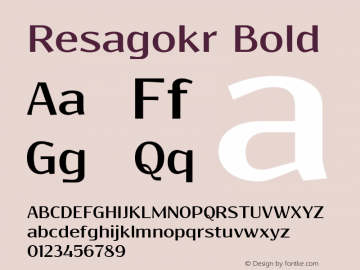 Resagokr Bold Version 0.95图片样张