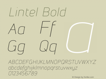 Lintel Bold Version 1.001;PS 001.001;hotconv 1.0.70;makeotf.lib2.5.58329;com.myfonts.easy.northernblock.lintel.thin-ital.wfkit2.version.469k Font Sample