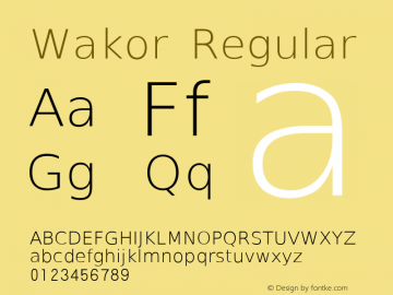 Wakor Regular Version 4.007图片样张