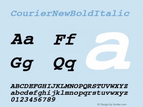 Courier New Bold Italic Unknown Font Sample