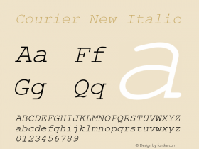 Courier New Italic Unknown Font Sample