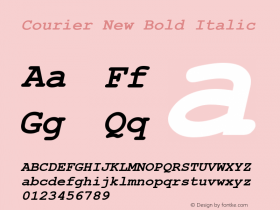 Courier New Bold Italic Unknown Font Sample