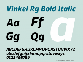 Vinkel Rg Bold Italic 1.000图片样张