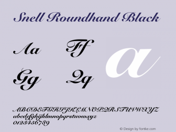 Snell Roundhand Black 1.1.1 Font Sample