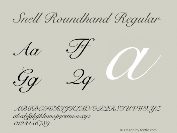 Snell Roundhand Regular 10.0d4e1 Font Sample