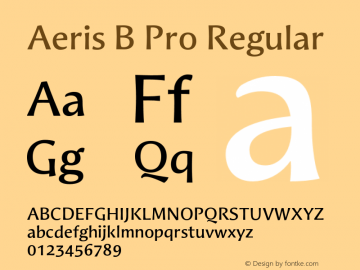 Aeris B Pro Regular Version 1.00 Font Sample