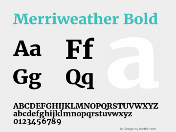 Merriweather Bold Version 1.570; ttfautohint (v1.3) -l 8 -r 32 -G 0 -x 0 -H 60 -D latn -f cyrl -m 