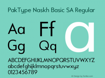 PakType Naskh Basic SA Regular Version 3.1图片样张