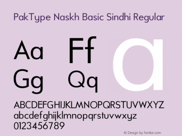 PakType Naskh Basic Sindhi Regular Version 3.1 Font Sample