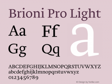 Brioni Pro Light Version 2.000图片样张