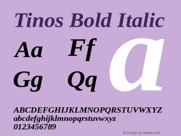 Tinos Bold Italic Version 1.21 Font Sample