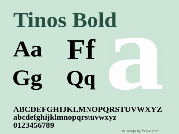 Tinos Bold Version 1.21 Font Sample
