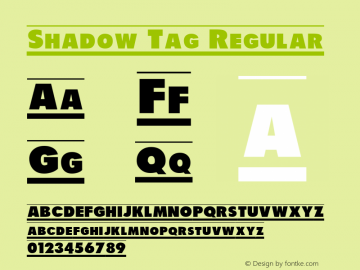 Shadow Tag Regular 1.0² - 11/13/98图片样张