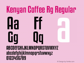 Kenyan Coffee Rg Regular Version 4.000图片样张