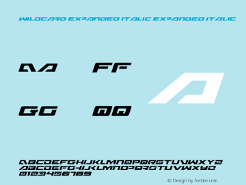 Wildcard Expanded Italic Expanded Italic 001.000 Font Sample