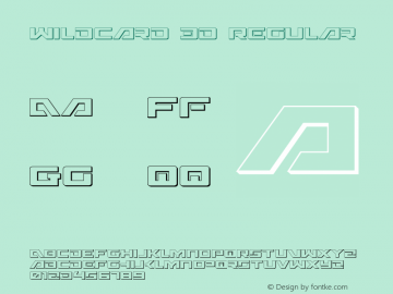 Wildcard 3D Regular 003.000图片样张