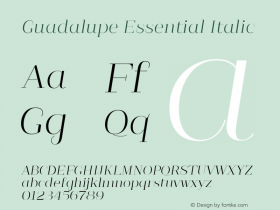 Guadalupe Essential Italic 1.000 Font Sample