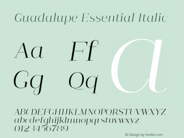 Guadalupe Essential Italic 1.000图片样张