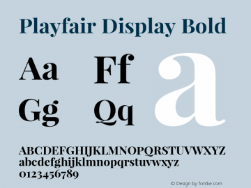 Playfair Display Bold Version 1.003;PS 001.003;hotconv 1.0.70;makeotf.lib2.5.58329 Font Sample