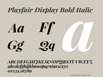 Playfair Display Bold Italic Version 1.002;PS 001.002;hotconv 1.0.70;makeotf.lib2.5.58329; ttfautohint (v0.93) -l 42 -r 42 -G 200 -x 14 -w 