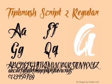 Tipbrush Script 2 Regular Version 001.000 Font Sample