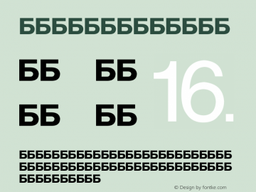 FU-F5 Regular 1999;1.00 Font Sample