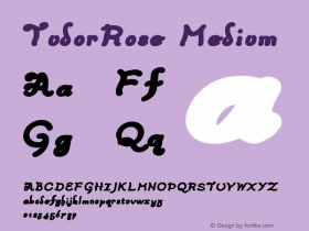 TudorRose Medium Version 001.000图片样张