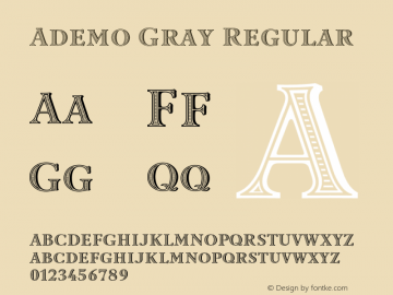 Ademo Gray Regular Version 1.100;PS 1.001;hotconv 1.0.57;makeotf.lib2.0.21895图片样张