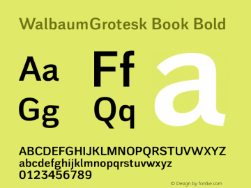 WalbaumGrotesk Book Bold Version 1.000 2010 initial release图片样张