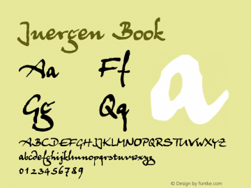 Juergen Book Version 1.1; 1999图片样张