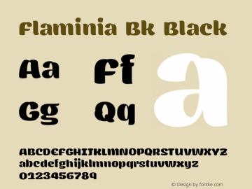 Flaminia Bk Black Version 1.7图片样张