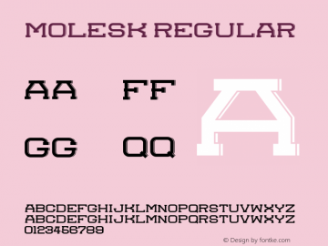 molesk Regular Version 1.000;PS 001.001;hotconv 1.0.56图片样张