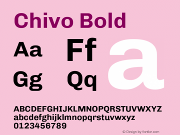 Chivo Bold Version 1.003;PS 001.003;hotconv 1.0.70;makeotf.lib2.5.58329 Font Sample
