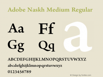 Adobe Naskh Medium Regular Version 1.010;PS 1.000;hotconv 1.0.68;makeotf.lib2.5.35818图片样张