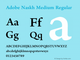 Adobe Naskh Medium Regular Version 1.012;PS 1.000;hotconv 1.0.70;makeotf.lib2.5.58329 Font Sample