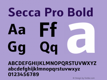 Secca Pro Bold 1.000 Font Sample