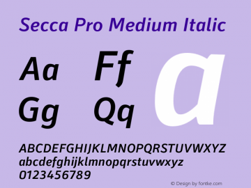 Secca Pro Medium Italic 1.000 Font Sample