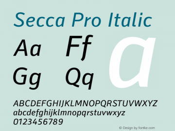 Secca Pro Italic 1.000 Font Sample