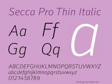 Secca Pro Thin Italic 1.000 Font Sample