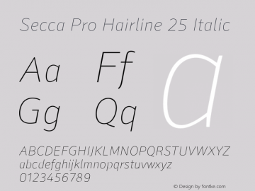Secca Pro Hairline 25 Italic 1.000 Font Sample