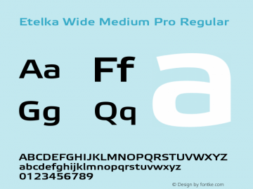Etelka Wide Medium Pro Regular Version 1.000 2005 initial release Font Sample